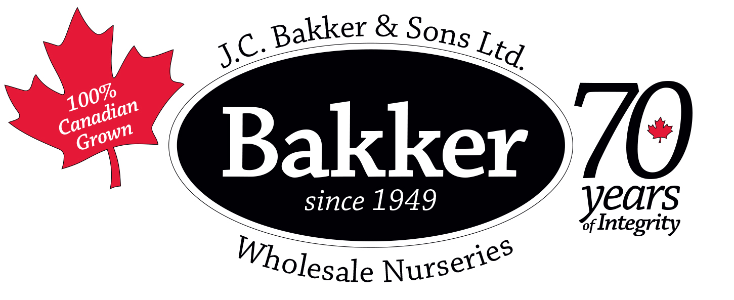 Jc Bakker & Sons Ltd.