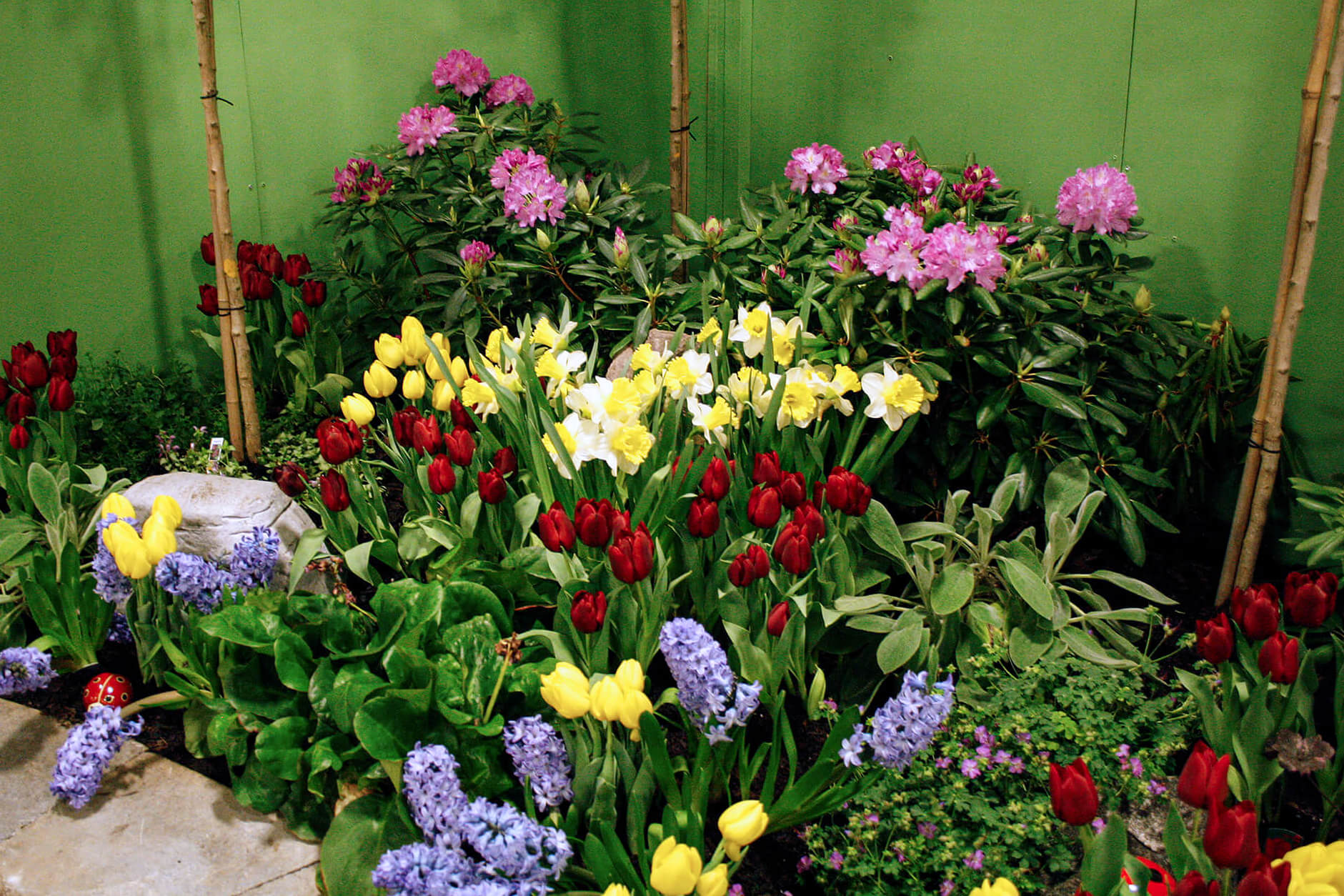garden bed with many colourful flowers